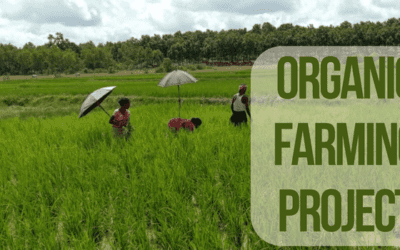 Organic Farming Project – Amrit Krishi