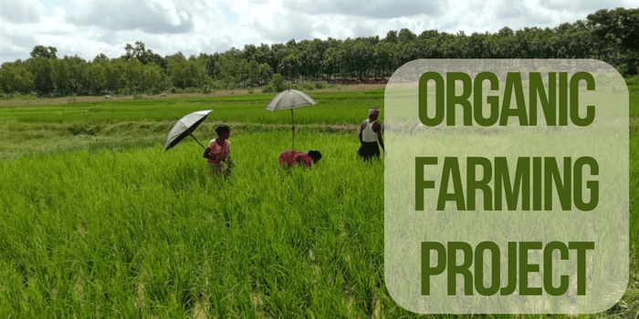 Organic Farming Project