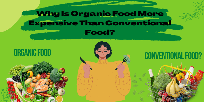 Why Is Organic Food More Expensive Than Conventional Food