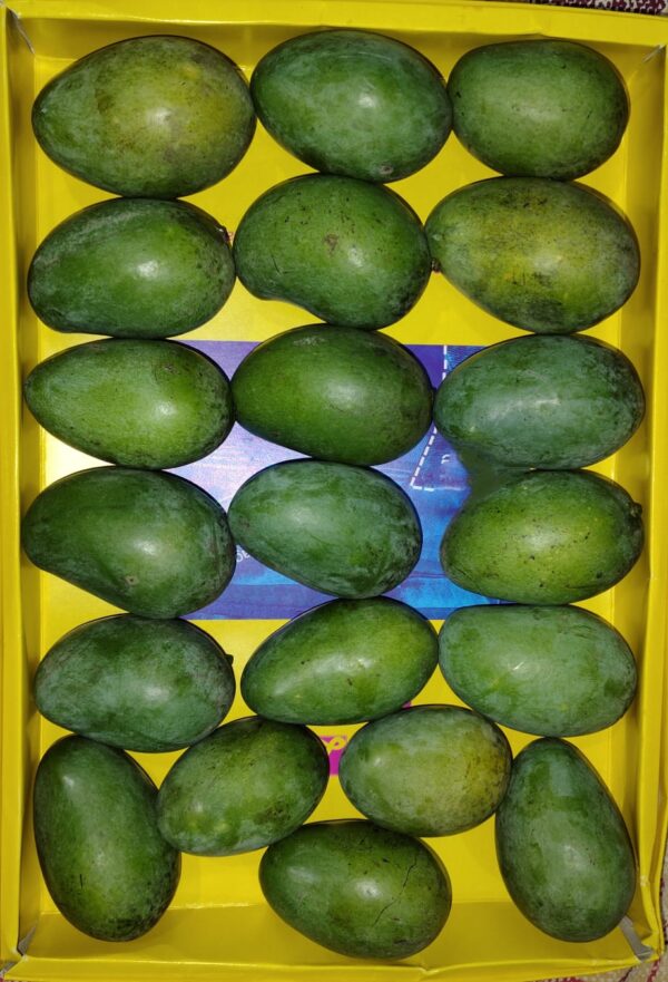 Organic mango