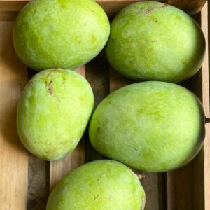 organic fruits, organic mango, langra mango malika mango, amrapli mango