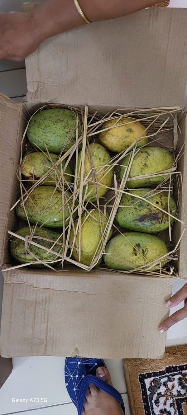 organic malika mango